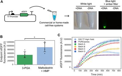 Decentralizing Cell-Free RNA Sensing With the Use of Low-Cost Cell Extracts